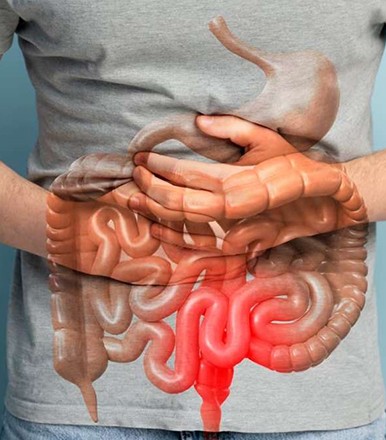 What is Gut Health